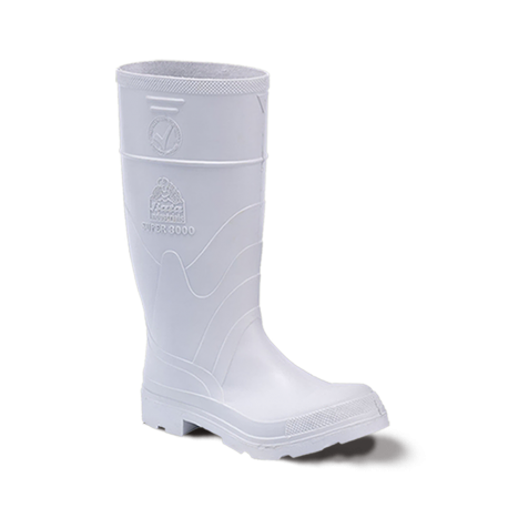 Bota Lactica